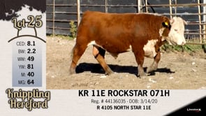 Lot #25 - KR 11E ROCKSTAR 071H