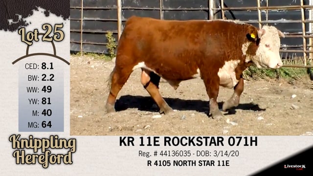 Lot #25 - KR 11E ROCKSTAR 071H
