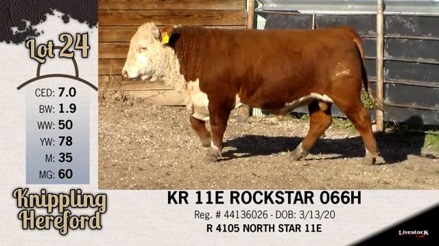 Lot #24 - KR 11E ROCKSTAR 066H