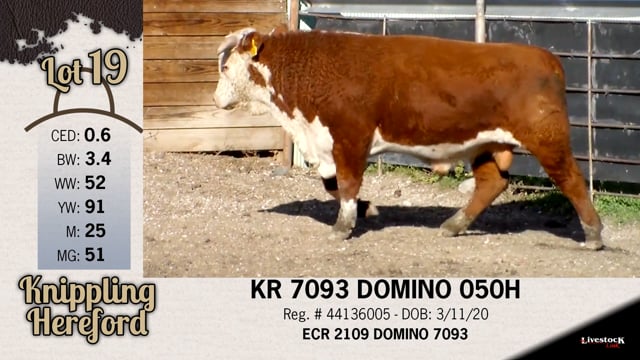 Lot #19 - KR 7093 DOMINO 050H