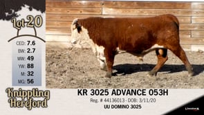 Lot #20 - KR 3025 ADVANCE 053H