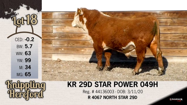 Lot #18 - KR 29D STAR POWER 049H
