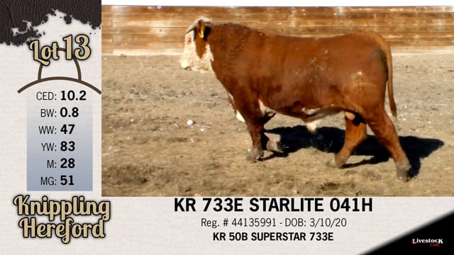 Lot #13 - KR 733E STARLITE 041H