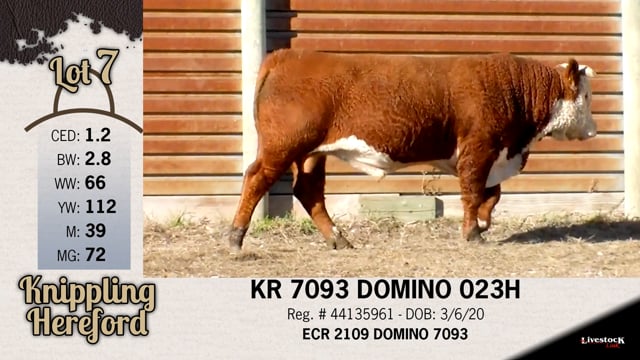Lot #7 - KR 7093 DOMINO 023H