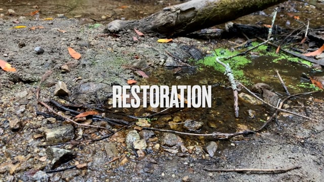 Restoration
