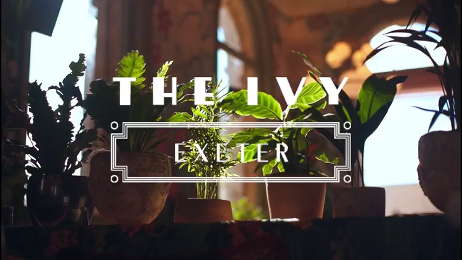 The Ivy - Exeter
