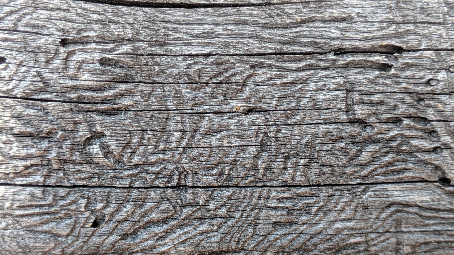 2021 December 07: Retreat Practice