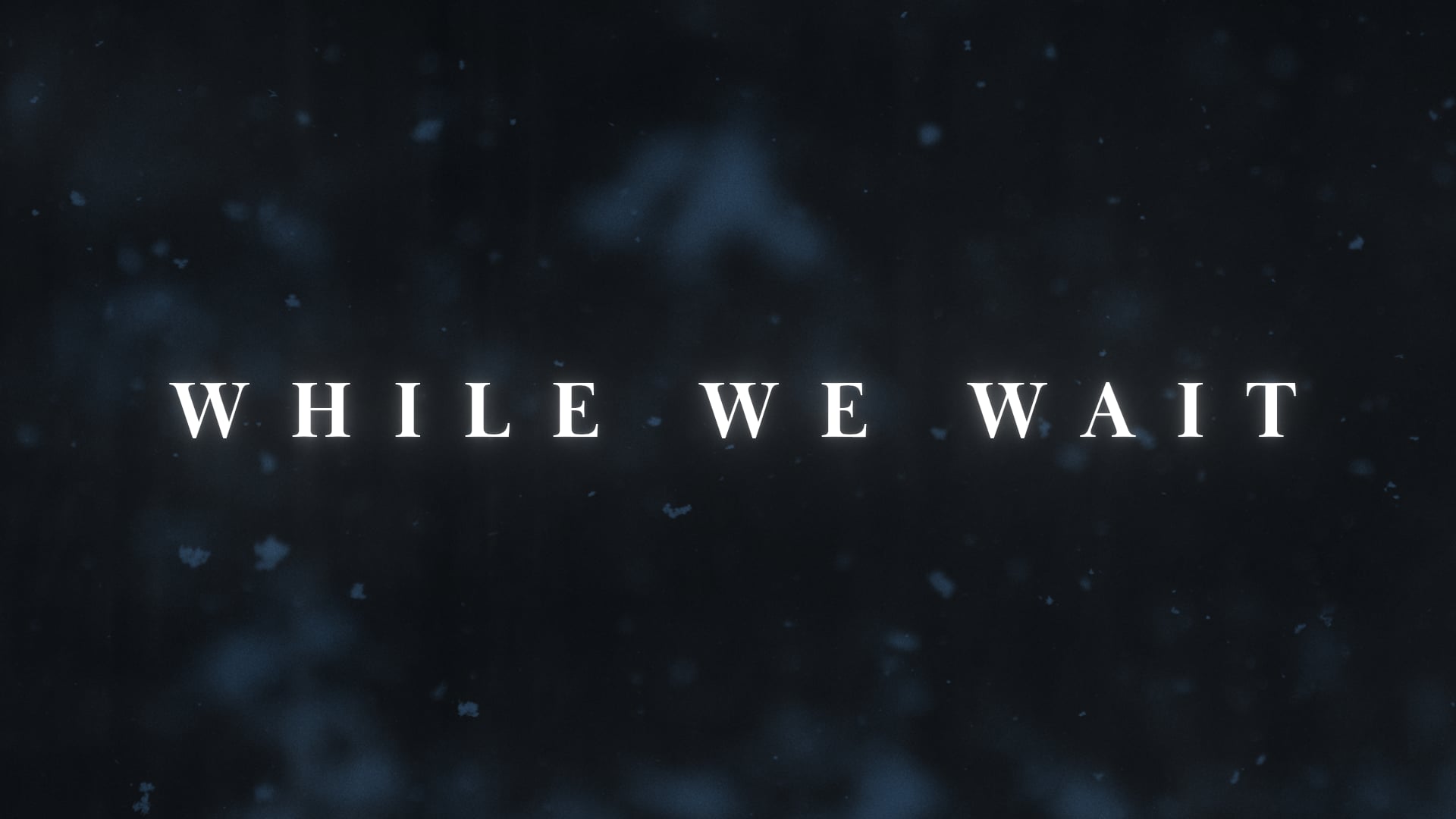 While We Wait: Wonder | December 19, 2021
