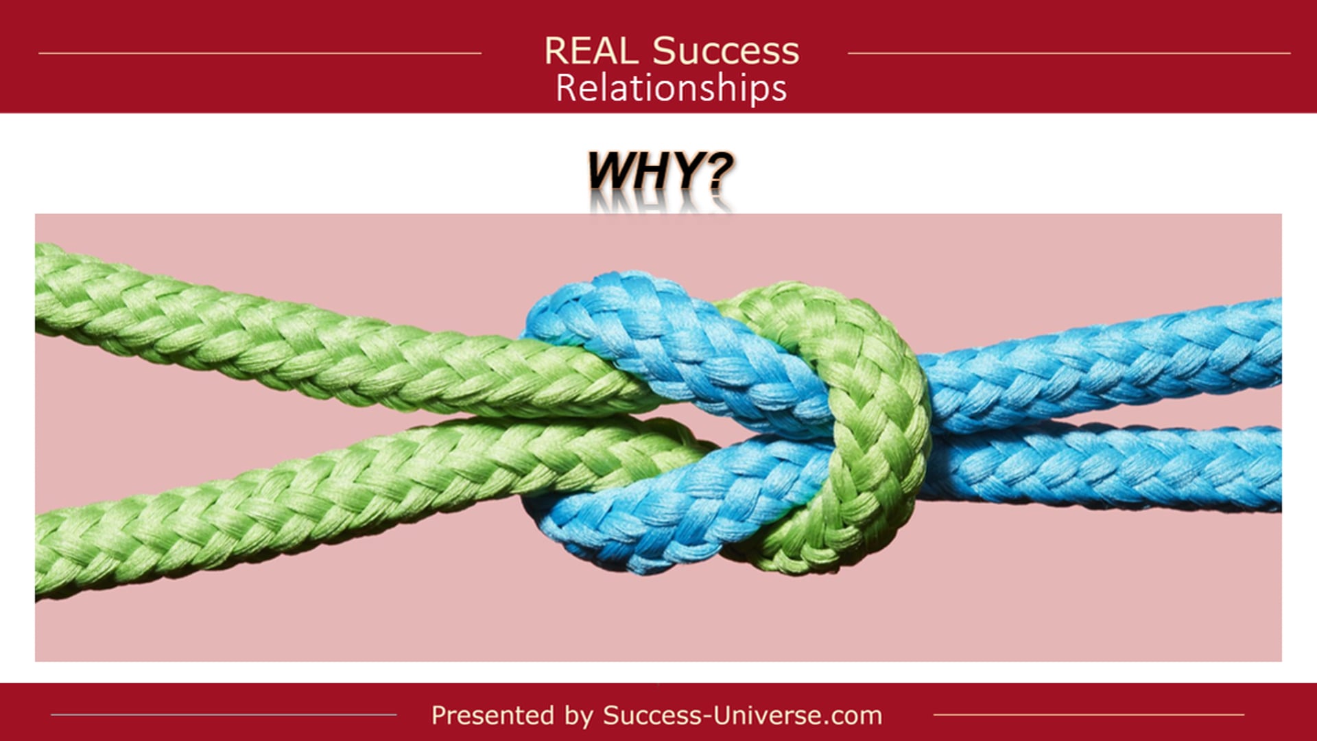 REAL Success - Relationships