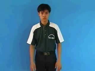 vay-330
