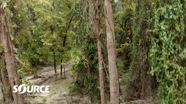 Презентація: Сандалі Source серії Stream