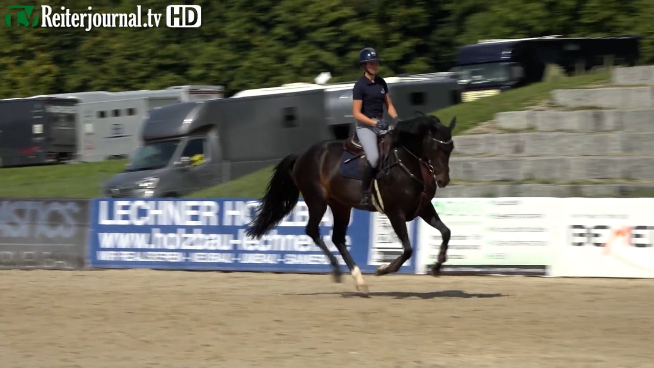 Richtig Reiten mit Dietmar Gugler (Teil 1/2) - Dressurarbeit für Springreiter