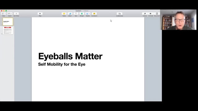 Eyeball Motion