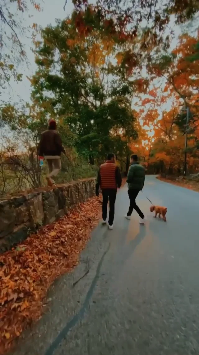 Fall in Mass on Vimeo