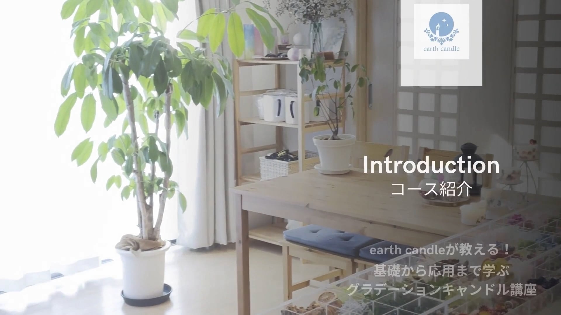 予告編動画のサムネイル画像