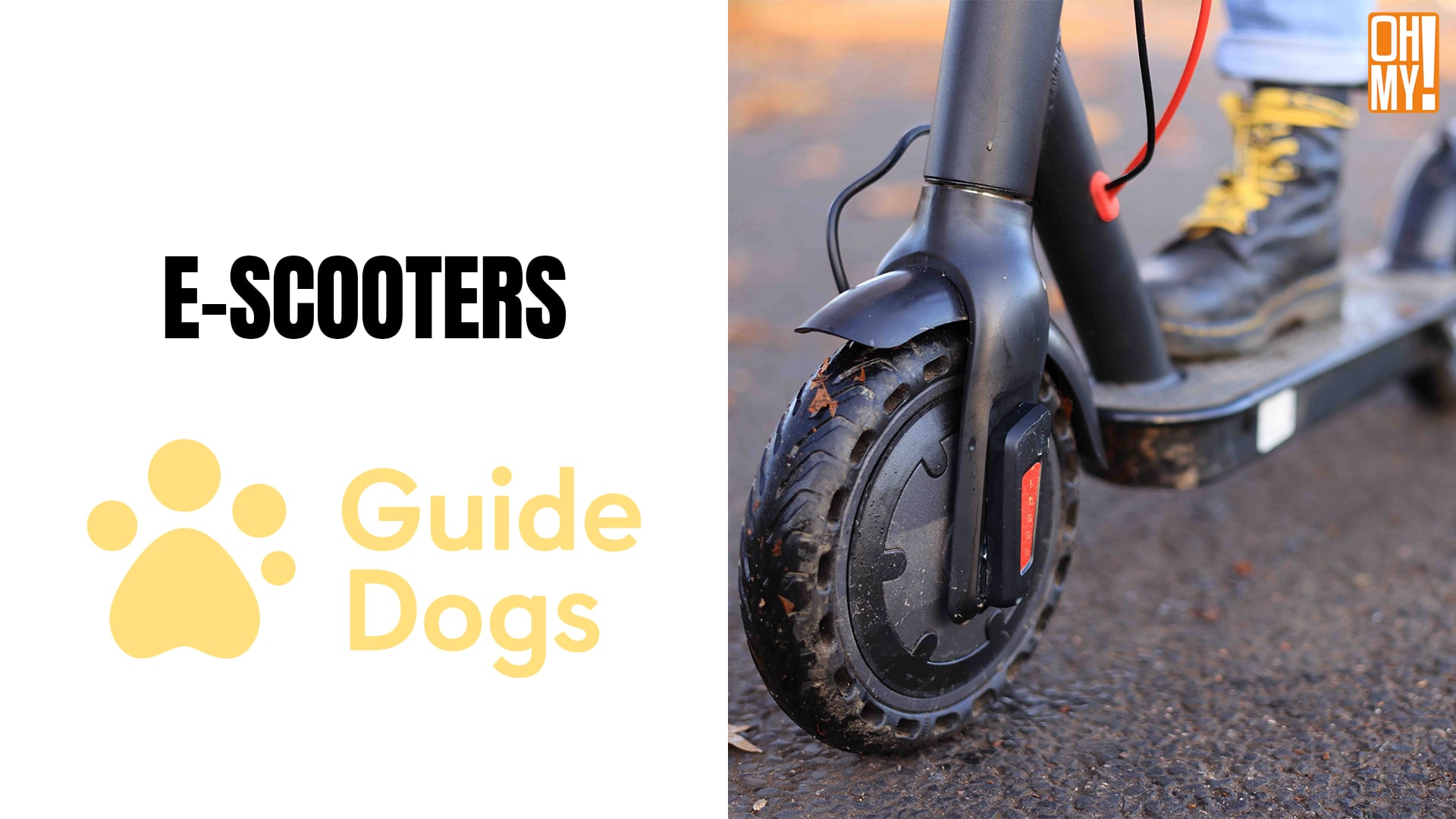 GUIDE DOGS - E-Scooters