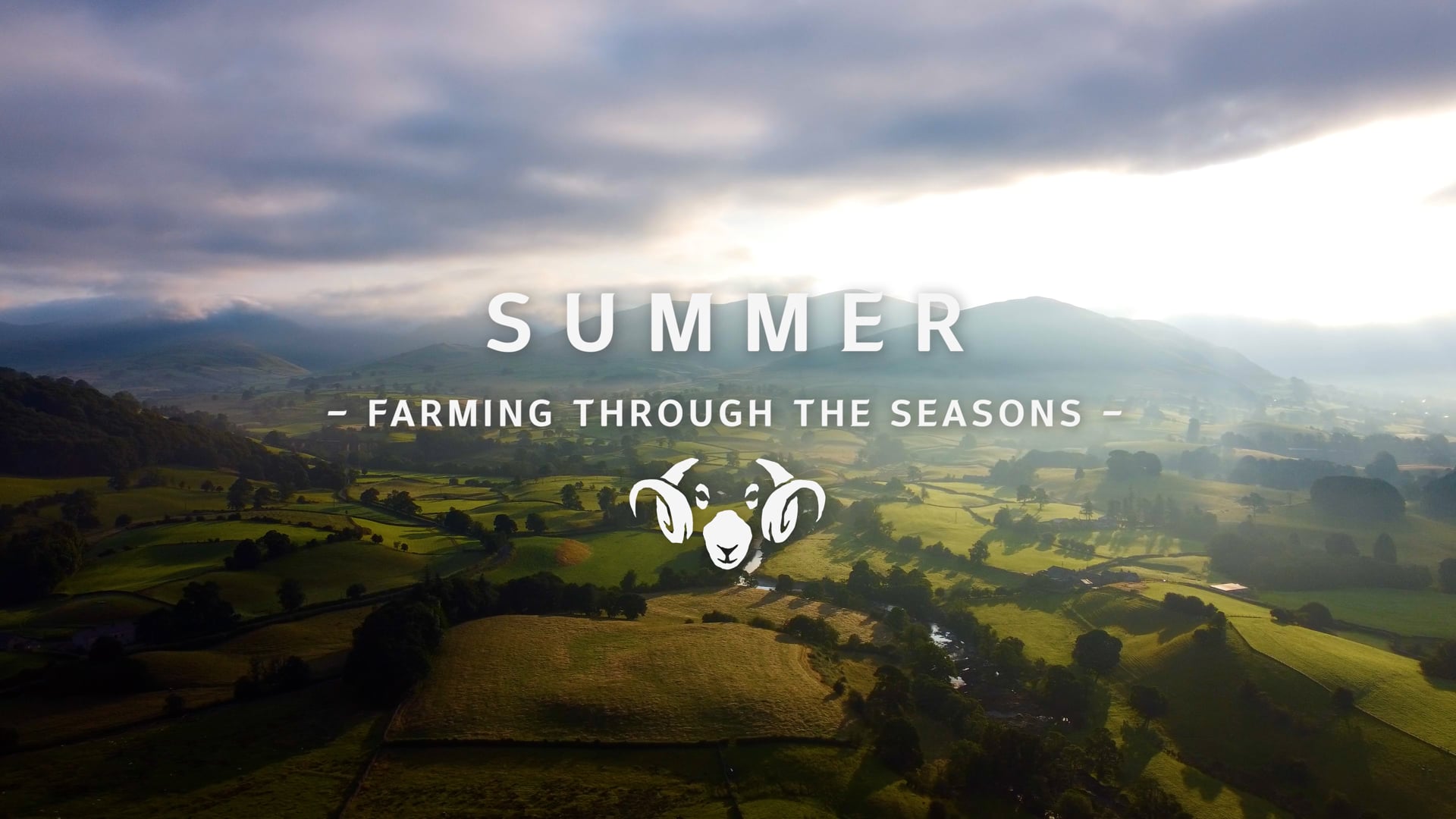 Summer | Farming Through the Seasons