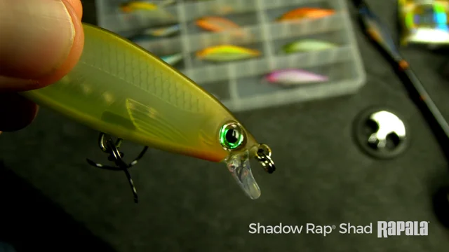 Rapala Shadow Rap Shad 09 Blue Back Herring – Hammonds Fishing