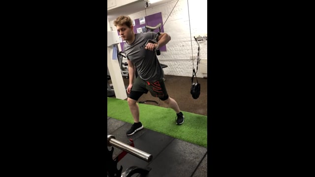 Single Arm Cable Push