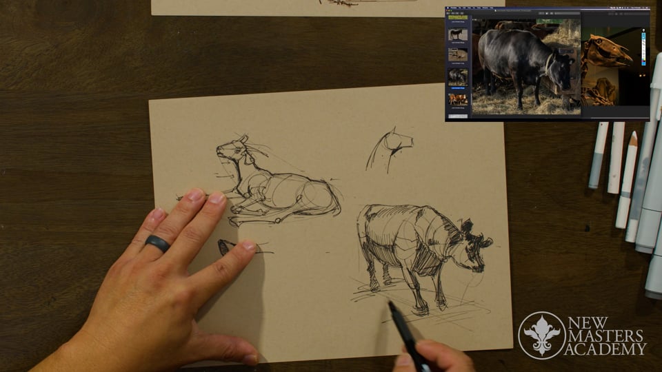 Drawing Land Animals | New Masters Academy