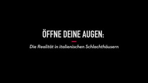 2019 – Die Realität in italienischen Schlachthäusern