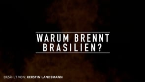2021 – Warum brennt Brasilien_ Die Fleischindustrie steckt hinter der massiven Abholzung der Wälder