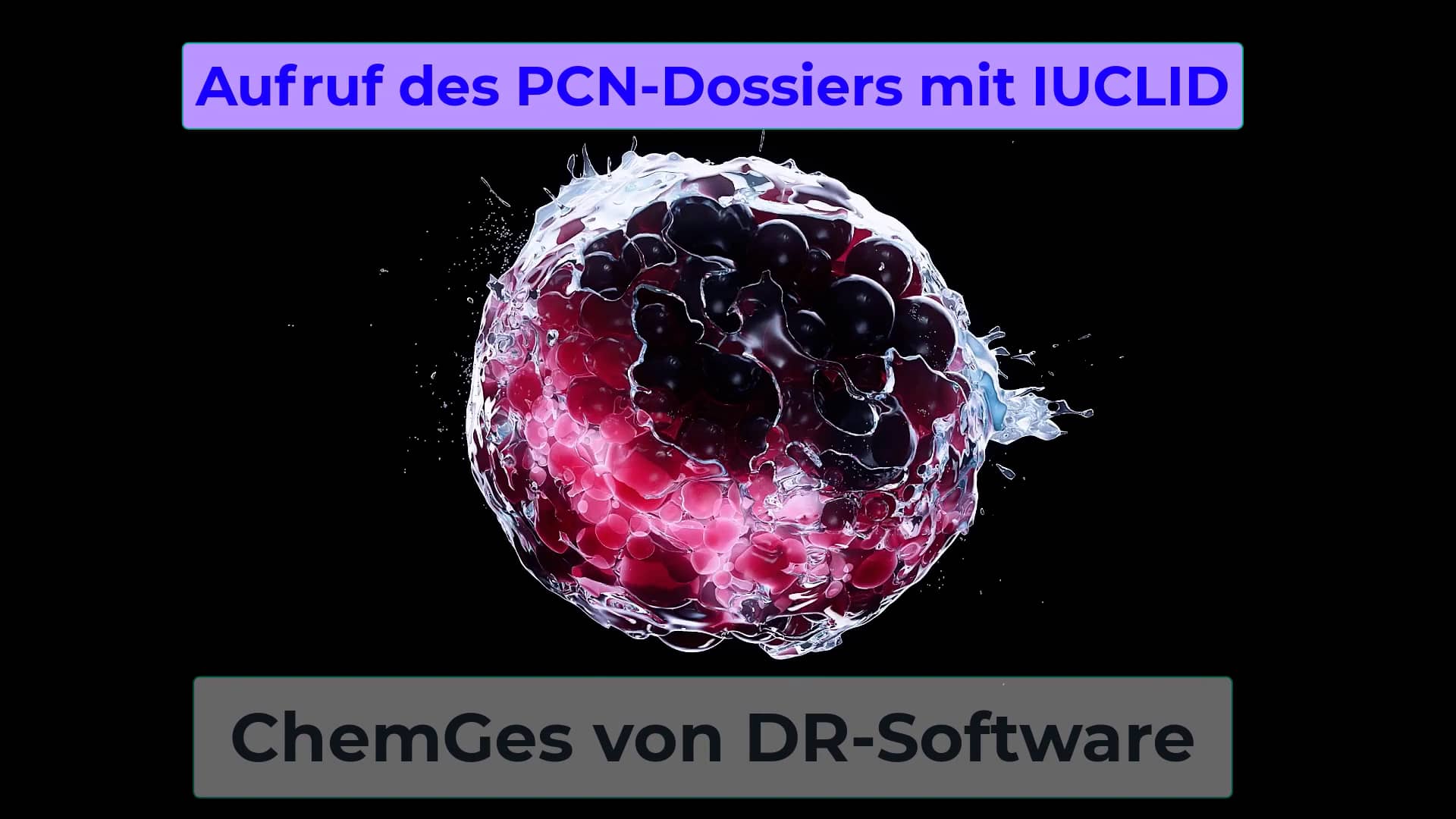 Aufruf des PCN-Dossiers mit IUCLID 6 nach Erstellung durch ChemGes von ...