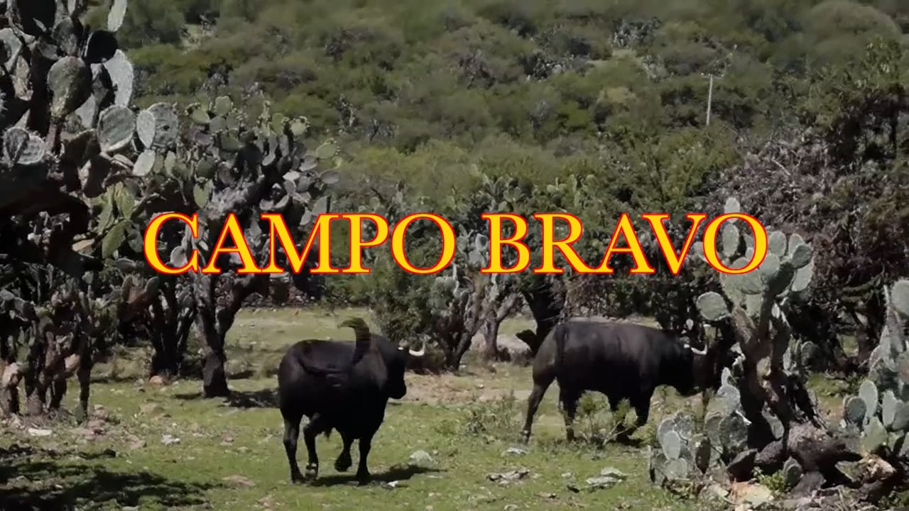 Campo Bravo