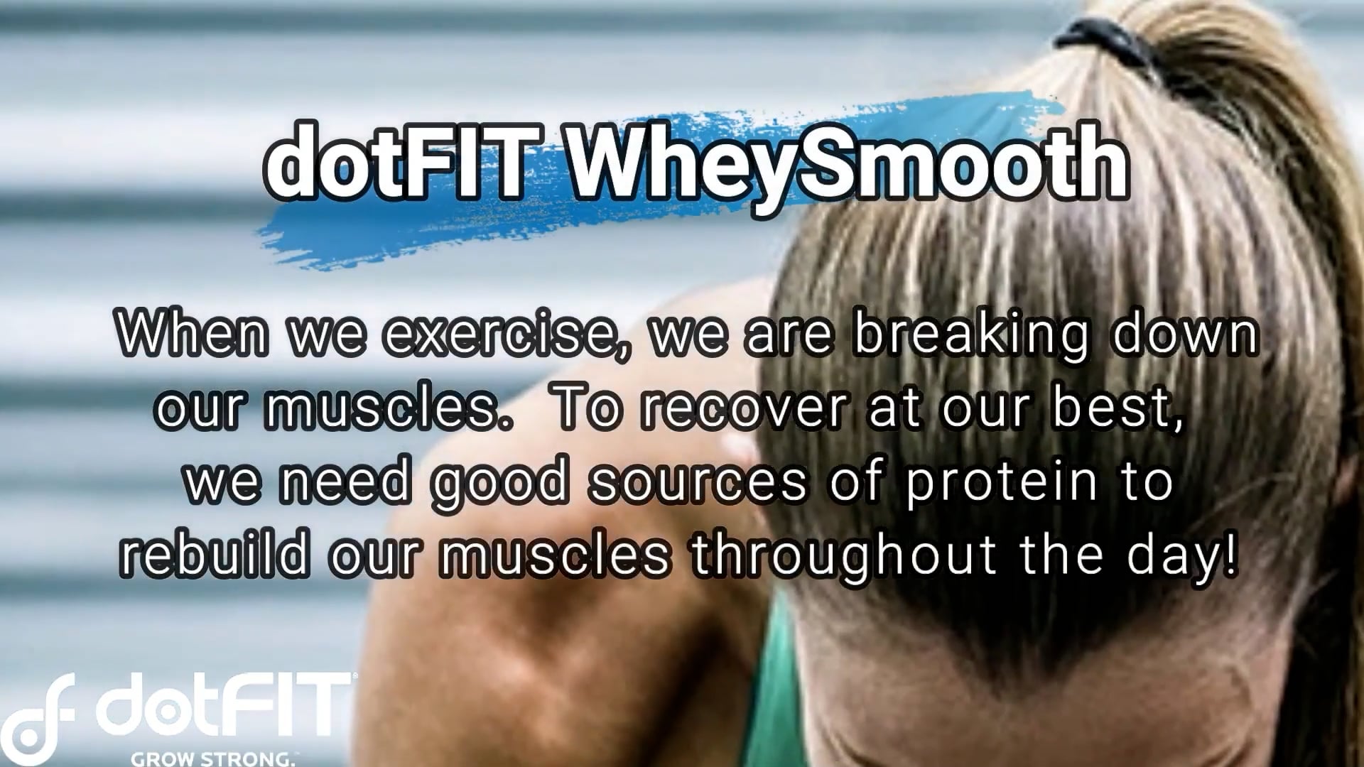 Dotfit Whey Smooth – All Natural WheySmooth – HZYCT