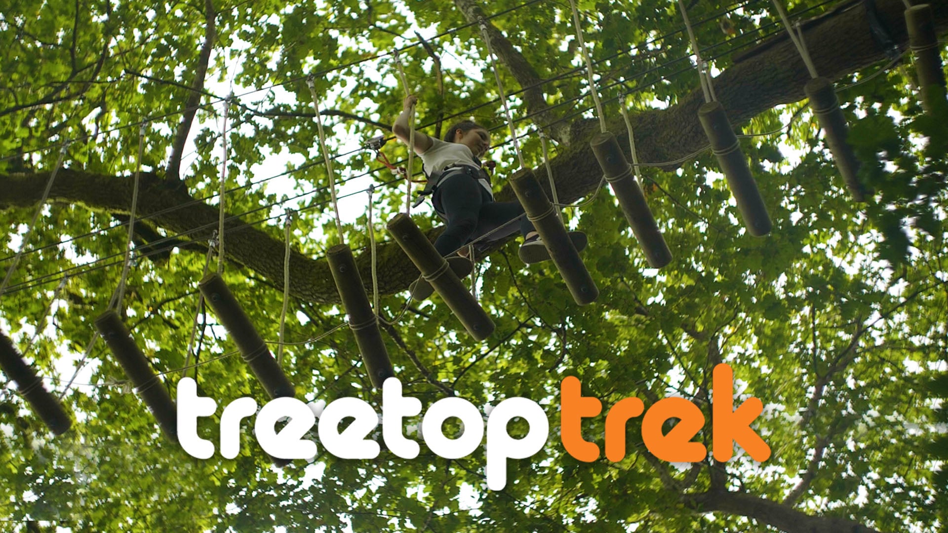 TreeTop Trek Adventures