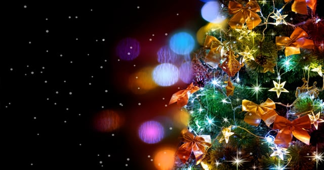 Christmas Tree Videos: Download 412+ Free 4K & HD Stock Footage Clips ...