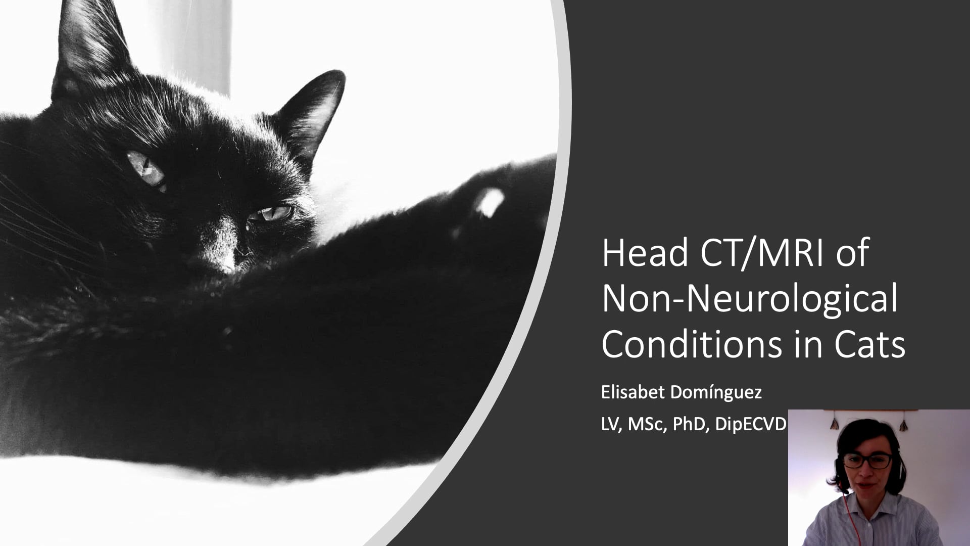 Head CT/MRI of Non-Neurological Conditions in Cats