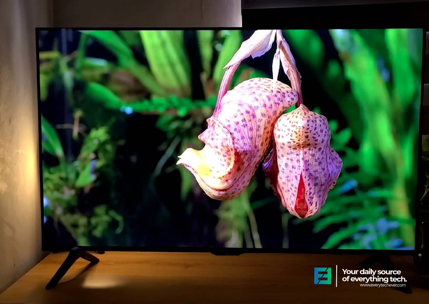 Xtreme Mf5000sa 4K TV video quality on Vimeo