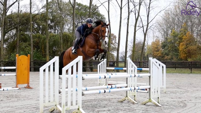 Jumping A Course with Meredith Michaels Beerbaum