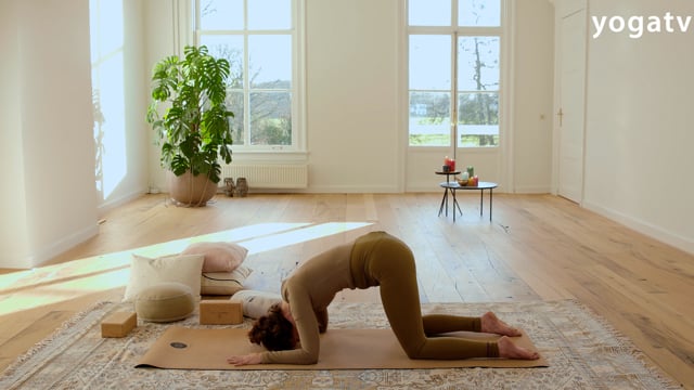 Het zesde chakra – yoga voor je voorhoofdchakra