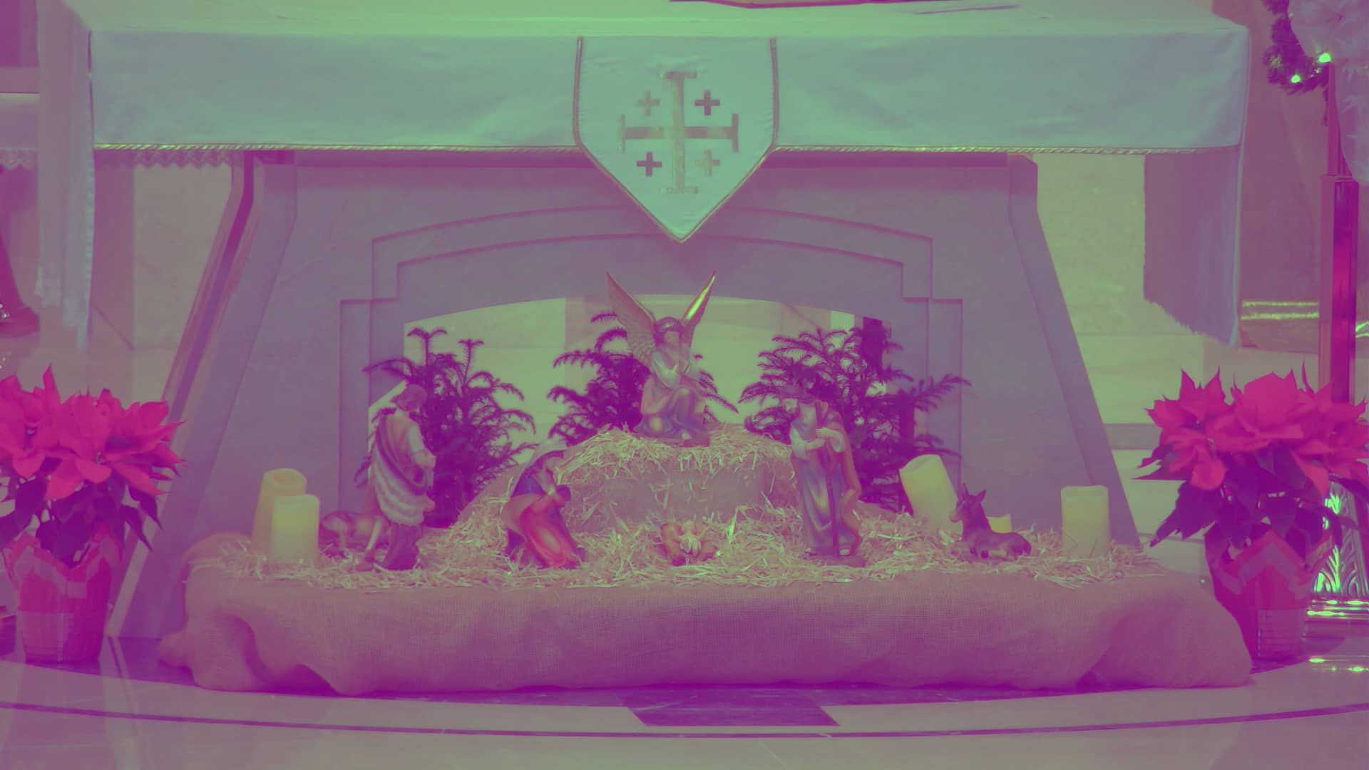 The Nativity of Our Lord Vigil Mass on Vimeo