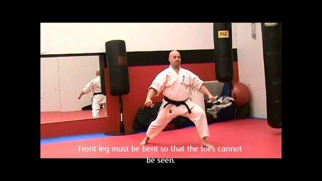 kyokushin karate stances
