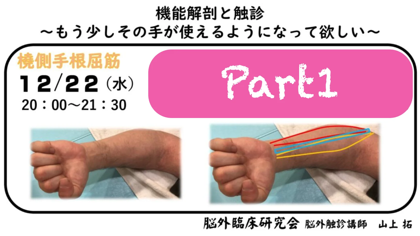 機能解剖と触診 機能解剖と触診 | MKPT研究会, 工藤 慎太郎 |本 | 通販 | Amazon