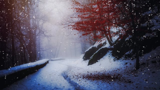 Nature, Landscape, Winter Snow, Winter