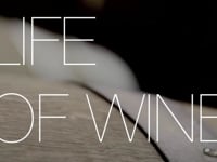 wine article Auteur Winery Life of a Wine