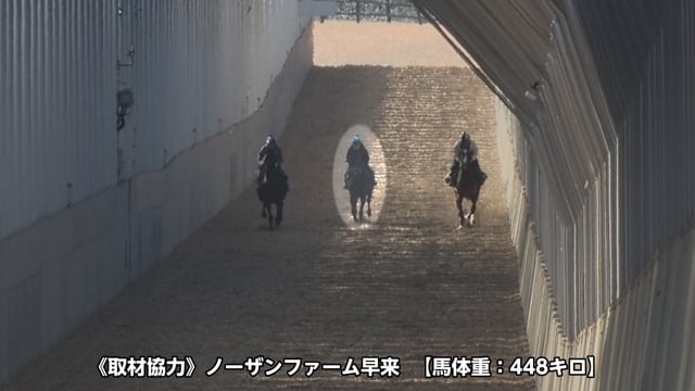 動画サムネイル