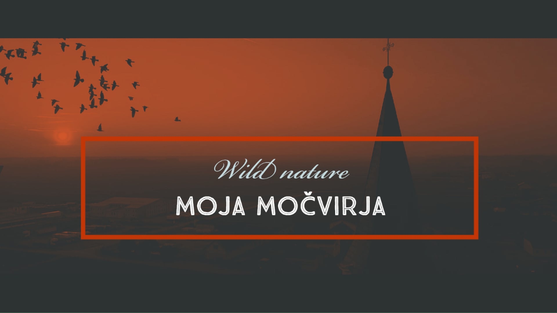 Wild Nature - Moja močvirja