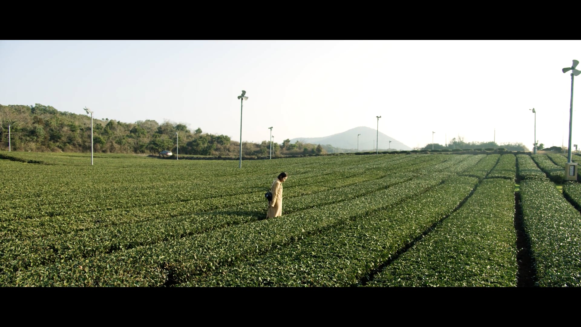 [Commercial] 한국관광공사(MICE)_JEJU_TOUR SPOT_MEET IN KOREA