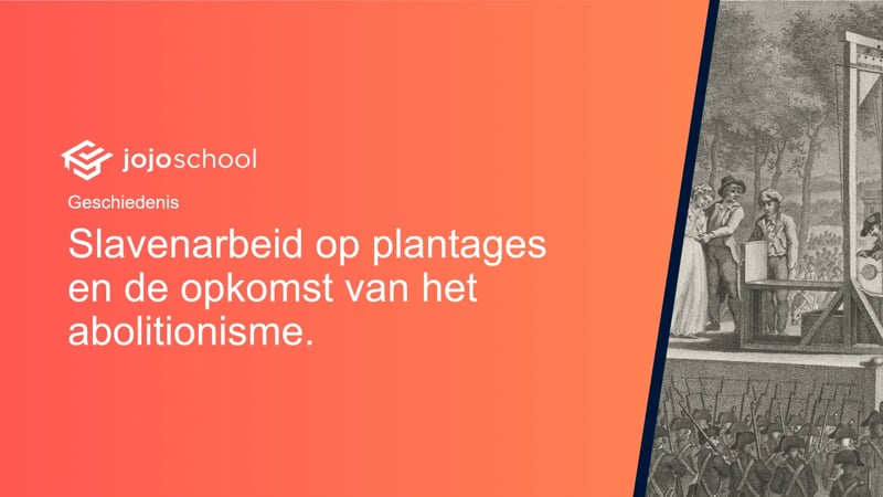 Slavenarbeid op plantages en de opkomst van het