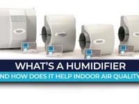What's a Humidifier? And How Does It Help Indoor Air Quality?