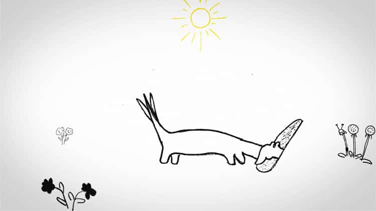 Magic Dog Academy - Tutorial on Vimeo