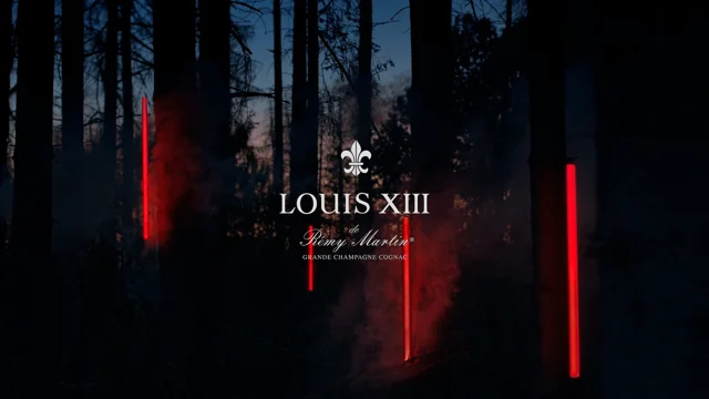 LOUIS XIII - NXIII — AXEL DELWARTE