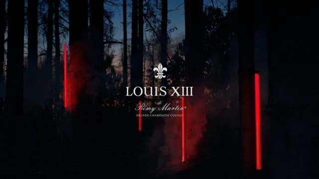 louis xiii logosu