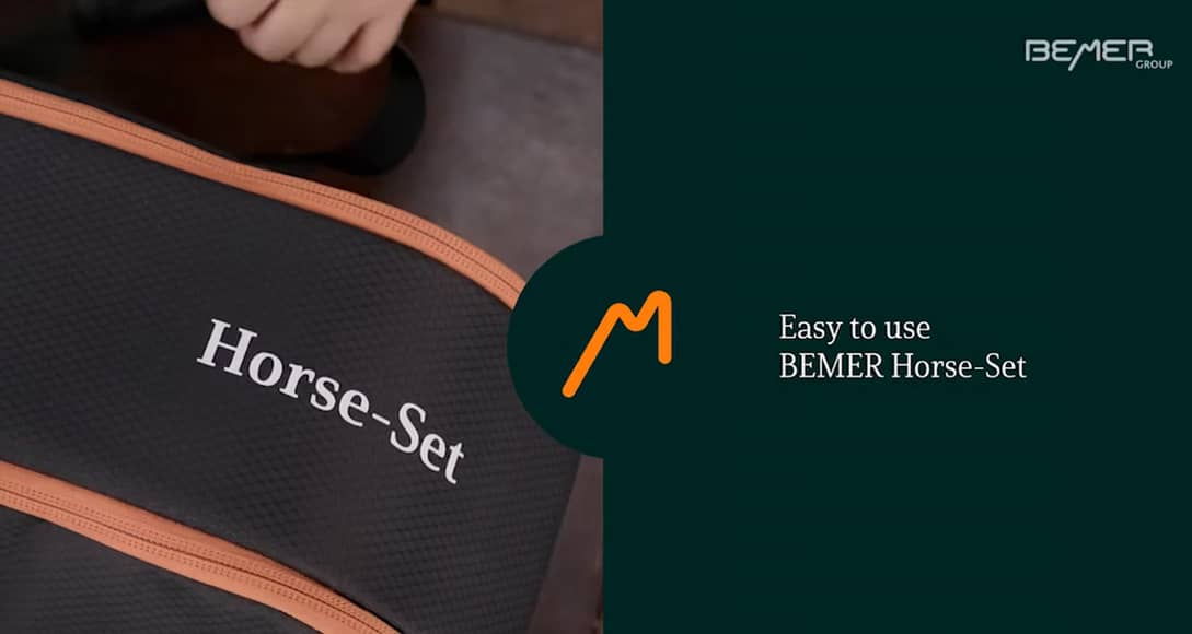 BEMER HorseSet How to Use.mp4 on Vimeo
