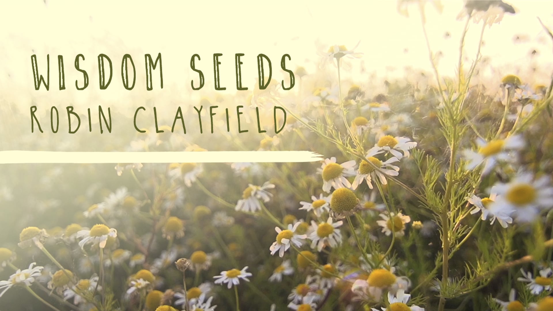 Wisdom Seeds